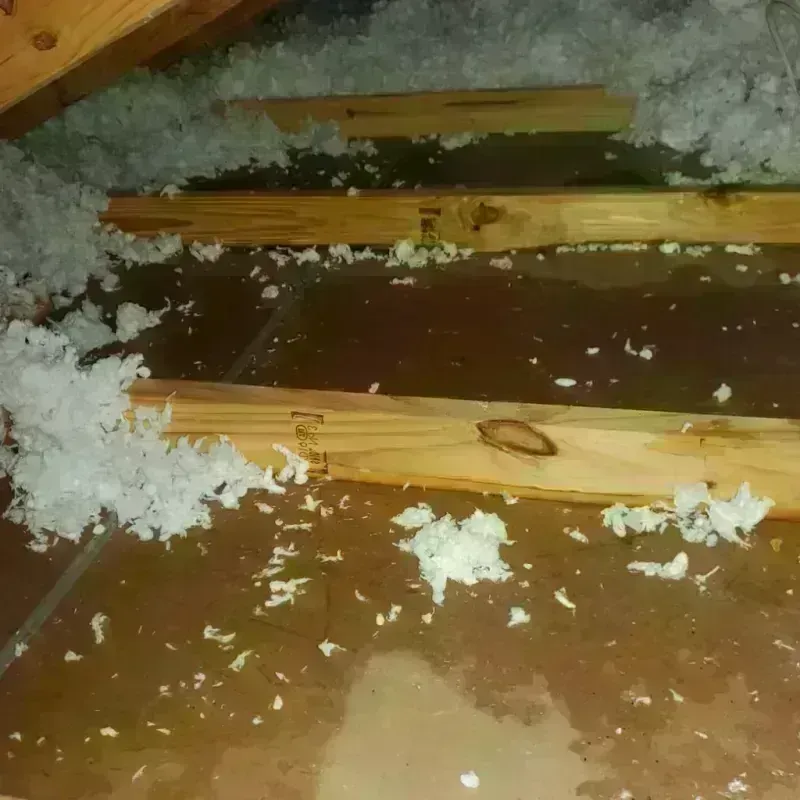 Attic Water Damage in Portland, OR