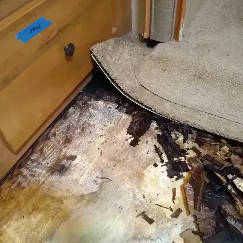 Wood Floor Water Damage in Portland, OR